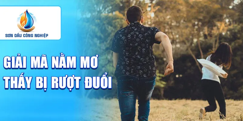 Nằm mơ thấy bị rượt đuổi: sự phản ánh của áp lực cuộc sống 2 Giải mã nằm mơ thấy bị rượt đuổi