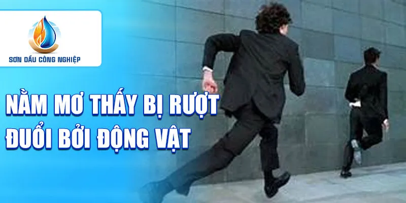 Nằm mơ thấy bị rượt đuổi: sự phản ánh của áp lực cuộc sống 3 Nằm mơ thấy bị rượt đuổi bởi động vật