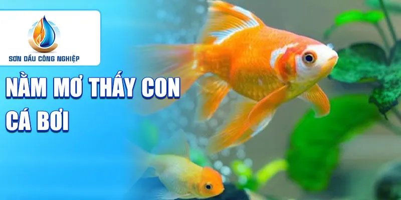Nằm mơ thấy con cá: khám phá vận mệnh trong tương lai 3 Nằm mơ thấy con cá bơi