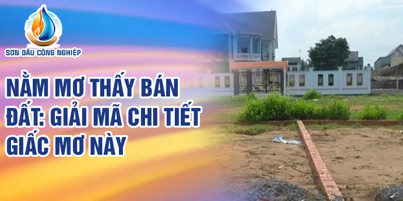 Nằm Mơ Thấy Bán Đất: Khám Phá Ý Nghĩa Tiềm Ẩn 2 Nằm mơ thấy bán đất: Giải mã chi tiết giấc mơ này