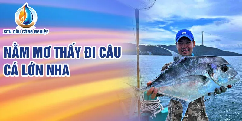 Nằm Mơ Thấy Đi Câu Cá: Bí Ẩn Và Tiên Tri Thú Vị 2 Nằm mơ thấy đi câu cá lớn nha
