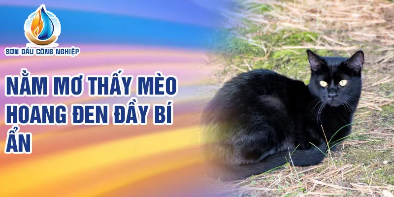 Nằm Mơ Thấy Mèo Hoang: Điềm Báo và Số May Mắn 2 Nằm mơ thấy mèo hoang đen đầy bí ẩn