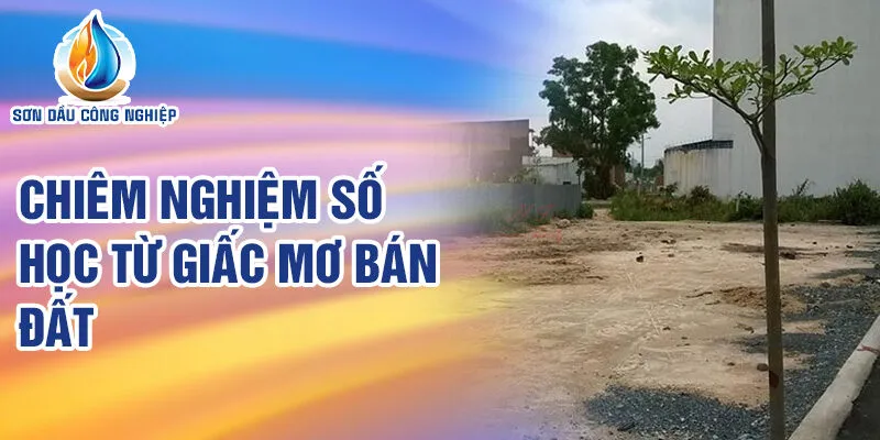 Nằm Mơ Thấy Bán Đất: Khám Phá Ý Nghĩa Tiềm Ẩn 3 Chiêm nghiệm số học từ giấc mơ bán đất