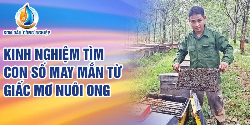 Nằm Mơ Thấy Nuôi Ong: Dự Báo Vận May Tiềm Ẩn? 3 Kinh nghiệm tìm con số may mắn từ giấc mơ nuôi ong