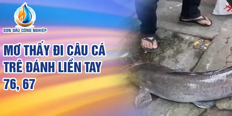 Nằm Mơ Thấy Đi Câu Cá: Bí Ẩn Và Tiên Tri Thú Vị 3 Mơ thấy đi câu cá trê đánh liền tay 76, 67
