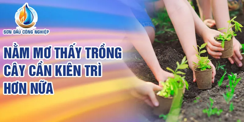 Nằm Mơ Thấy Trồng Cây: Giải Mã Bí Ẩn Và Con Số May Mắn 4 Nằm mơ thấy trồng cây cần kiên trì hơn nữa