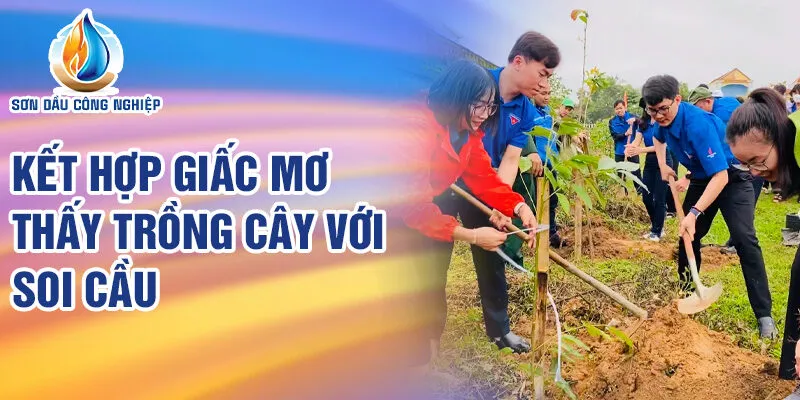 Nằm Mơ Thấy Trồng Cây: Giải Mã Bí Ẩn Và Con Số May Mắn 5 Kết hợp giấc mơ thấy trồng cây với soi cầu