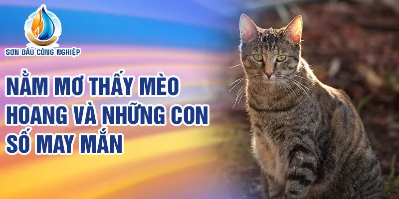 Nằm Mơ Thấy Mèo Hoang: Điềm Báo và Số May Mắn 4 Nằm mơ thấy mèo hoang và những con số may mắn